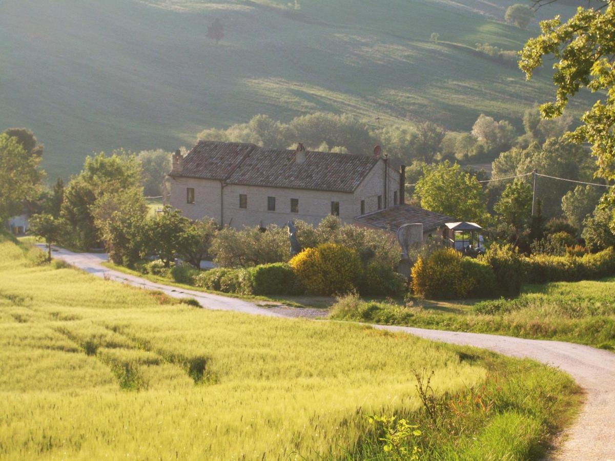 "La Casa Degli Ulivi Art B&B" Trecastelli Bagian luar foto