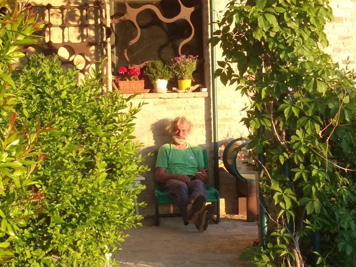"La Casa Degli Ulivi Art B&B" Trecastelli Bagian luar foto
