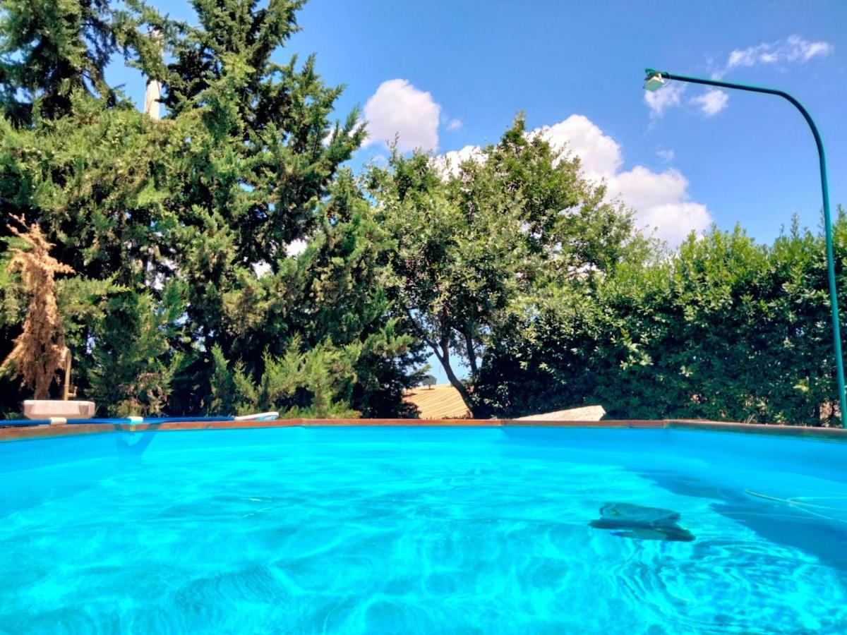 "La Casa Degli Ulivi Art B&B" Trecastelli Bagian luar foto